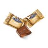 Milk Chocolate Caramel minis Bulk Case Pack (900 ct)