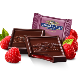 Dark Chocolate Raspberry SQUARES Case Pack (430 ct)